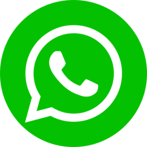 icone logo whatsapp vert