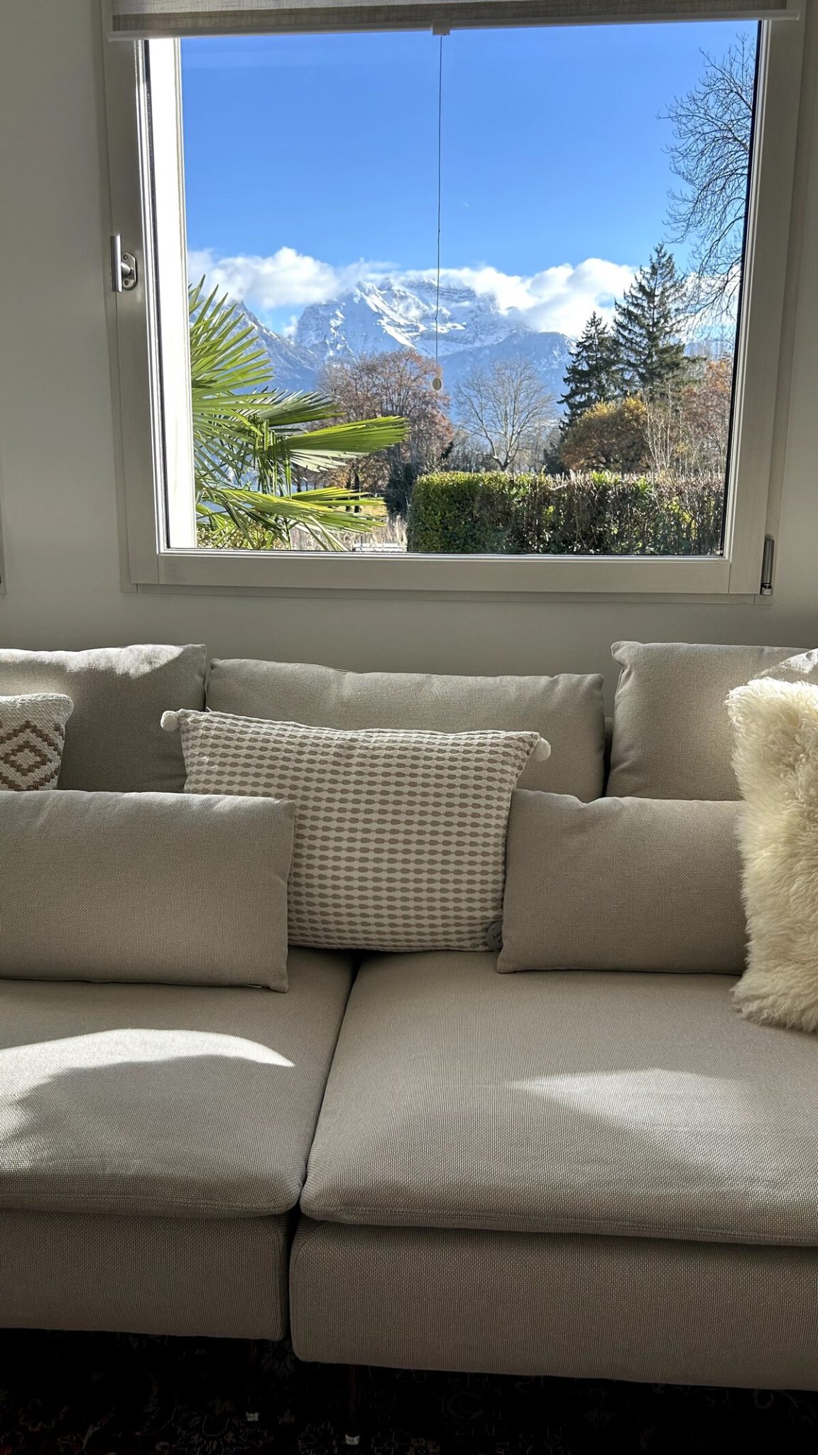 ff1b7e90-24b4-4529-a26a-cdddbcb2eb1b